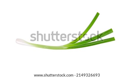 Top view of Green onion isolated on the white background Royalty-Free Stock Photo #2149326693
