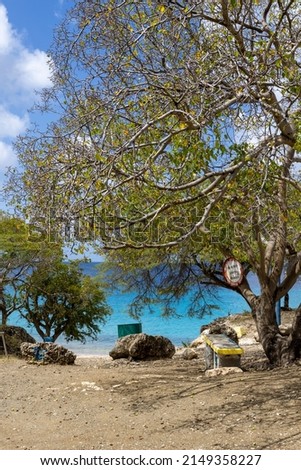 Poisonous manchineel tree with a warning sign at the access to Playa Jeremi on the Caribbean island Curacao