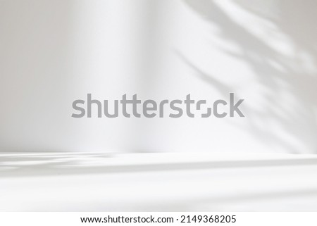 Abstract white studio background for product presentation. Empty room with shadows of window and flowers and palm leaves . 3d room with copy space. Summer concert. Blurred backdrop. Royalty-Free Stock Photo #2149368205