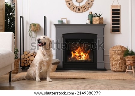 Adorable Golden Retriever dog on floor near electric fireplace indoors Royalty-Free Stock Photo #2149380979