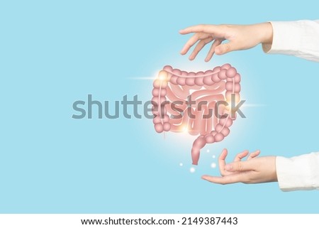 Healthy intestine anatomy on doctor hands. Concept of healthy bowel digestion, colon cancer screening, intestinal disease treatment or colorectal cancer awareness. Royalty-Free Stock Photo #2149387443