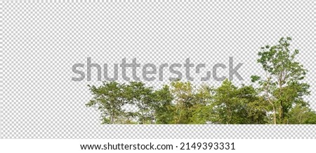 Green trees isolated on transparent background forest and summer foliage for both print and web with cut path and alpha channel Royalty-Free Stock Photo #2149393331