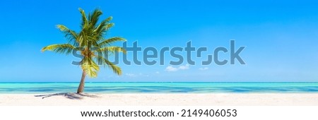Panorama banner photo of idyllic tropical beach with palm tree Royalty-Free Stock Photo #2149406053