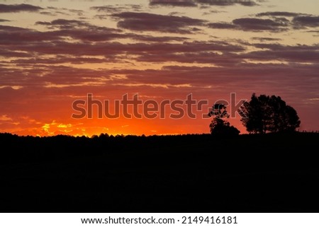 Colorful sunset in countryside.

São Francisco de Paula, RS, Brazil