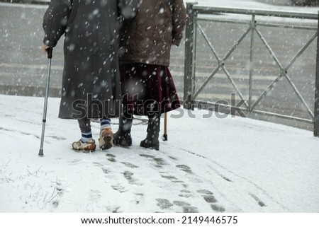Two elderly women walk along the snow-covered alley. Healthy lifestyle of pensioners.