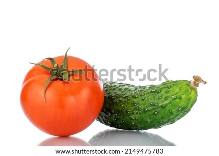 One ripe tomato and cucumber, macro, isolated on white background.