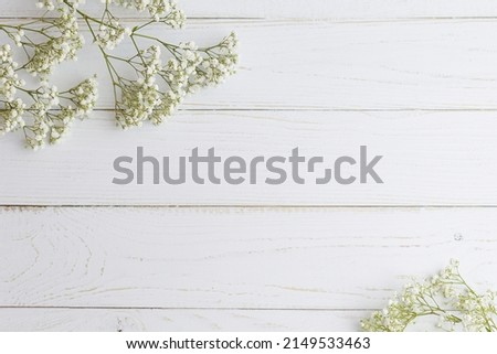 Paniculata branchs inside of a little glass bottle on white wood floor. Close up shot. Horizontal picture 