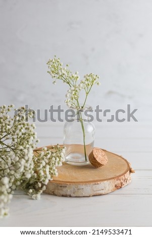 Paniculata branchs inside of a little glass bottle on white wood floor. Close up shot. Vertical picture 