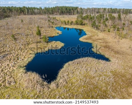 Aerial top view of National Park Swamp called Jacek near Warsaw, Poland, Europe