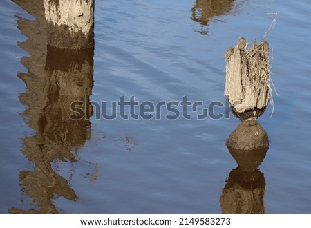 Reflection of old timber poles in the calm water