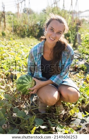 Positive female farmer harvest of watermelons on the field. High quality photo