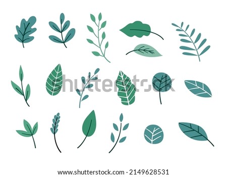 Green Leaf Illustration Set. Botanical Garden Plant Leaves Clip Art.