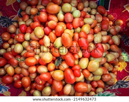 Capture of stall of riped tomatoes. Ripen tomatoes isolated on stall in Farm. Tomatoes stall in vegetables farm.  Red tomato stall. With selective focus on the subject. Royalty-Free Stock Photo #2149632473