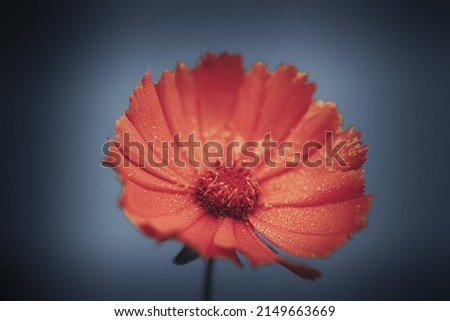 Background art- stylish still life flowers. Creative artwork used for printing on large format canvas