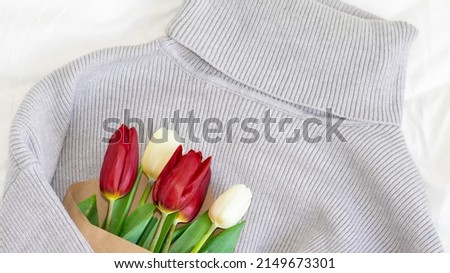 bouquet of red and white color tulips wrapped in a gray sweater. International Women's Day on March 8, birthday, valentine's day. wool sweater hugging flowers, bed, white blanket.  