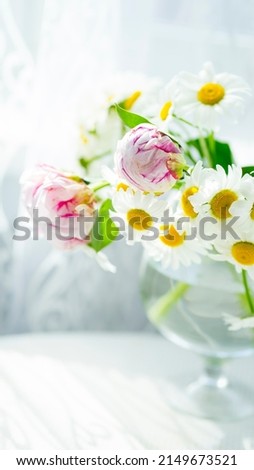 Daisies and peonies in a transparent vase in sunlight. Image with selective focus