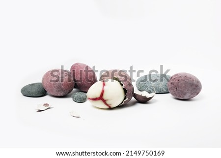 bird eggs among stones, one broken with a red vein