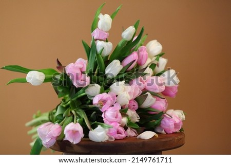 Studio flower flatlay photography of a bouquet of colorful spring tulips with a background.