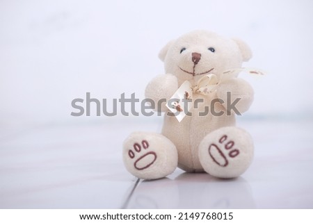 cute cream teddy bear with ribbon