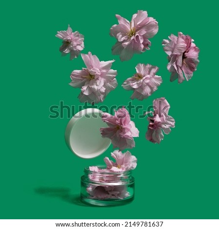 Minimal beauty concept. Lovely cosmetic jar pops up of many pink cherry flowers flying away. Green background