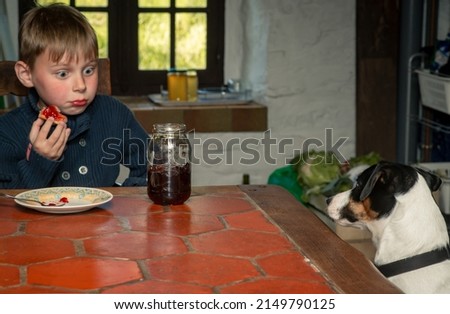 a boy of eight years old eats at a table with a dog