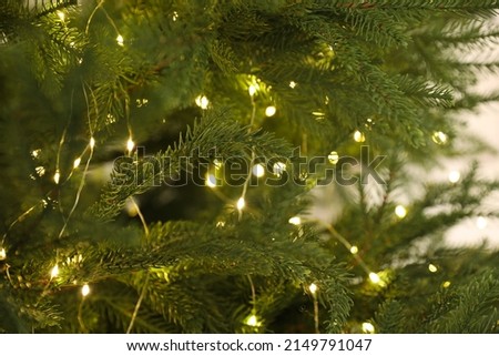 Beautiful Christmas tree with glowing fairy lights, closeup