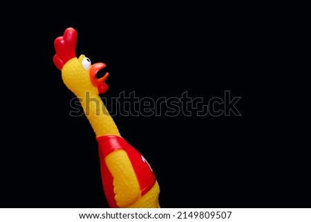Rubber toy in the form of a rooster on a black background. The funny toy rooster has a surprised and dumbfounded look with its beak open. The toy makes loud noises. Free space for text