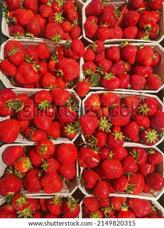 Strawberries in cardboard bowls for sale.