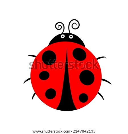A cute lady bug isolated on white. 