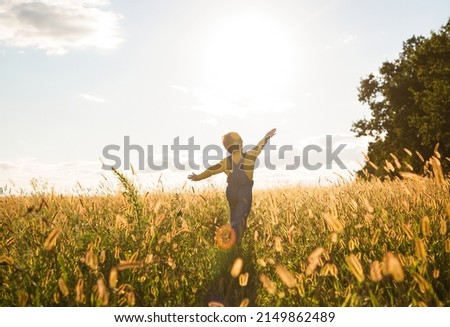 child walks in a yellow meadow on a sunny summer day. Happy childhood. Joyfully runs forward with his arms outstretched. Forward to a brighter future. back view. Backlight and soft focus. Royalty-Free Stock Photo #2149862489