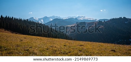 Autumn landscape with a mountain range in the distance and a yellow slope with dry autumn grass in the foreground. High mountains with snow-capped peaks and firs in a blue haze. Royalty-Free Stock Photo #2149869773