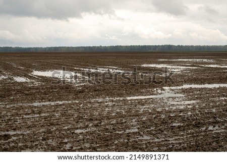 Field wet from the rain. Puddles in a sown field, damage, catastrophe from heavy rainfall. Wet agricultural field with puddles of water due to rain. Waterlogged field as a result of heavy rainfall. Royalty-Free Stock Photo #2149891371