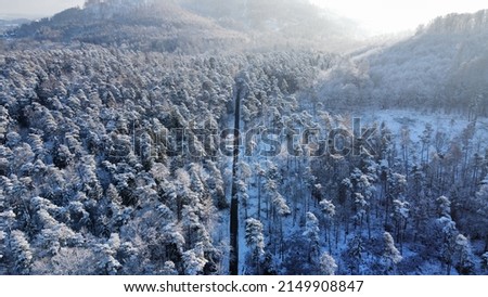 Snowy scenary in a European forest