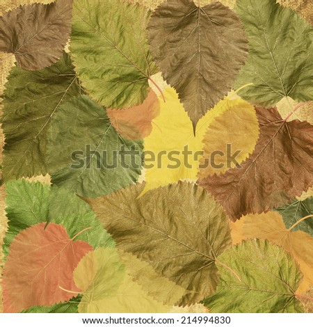 Autumn colorful leaves background. Textured old paper autumn leaves background.