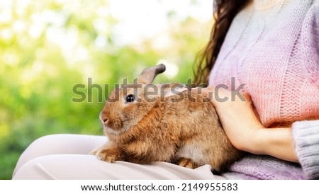 Asian woman holding healthy Lovely bunny easter fluffy rabbit on green garden nature background.