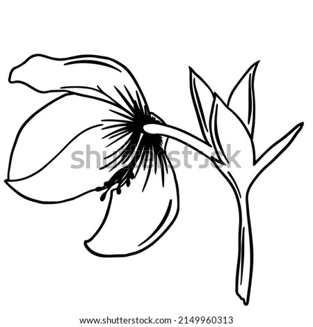 Black doodle of a flower. Hand-drawn spring flowers illustration.