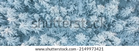 Top view of snow-covered larch trees. Aerial photography of the winter forest. The tops of the trees in the snow. Cold snap. Beautiful northern nature. Cold winter weather. Wide natural background. Royalty-Free Stock Photo #2149973421