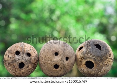 Coconut shell emoticons on natural background. Emoji Reactions for being scared, shocked, surprised. Space for text. 