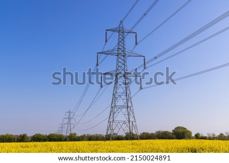 Electricity pylons in a field of rape seed flowers in full bloom. Hertfordshire. UK Royalty-Free Stock Photo #2150024891