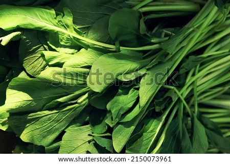 Close up image of fresh chinese flowering cabbage, well known as choy sum aka caisim 