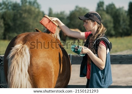 Teenage girl brushing horse croup with dandy brush in outdoors. Royalty-Free Stock Photo #2150121293