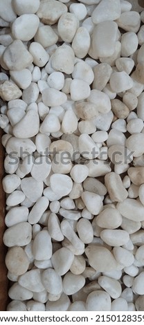 white pebbles neatly arranged on the concrete.