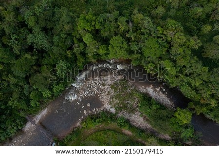Aerial top view of a curve in a stream found in secondary tropical forest
