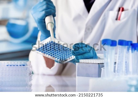 geneticist working with microplate for cells analysis in the genetic lab. Researcher working with samples of tissue culture in microplate in the genetics laboratory