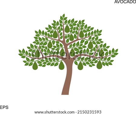 Avocado tree logo. Isolated avocado tree on white background