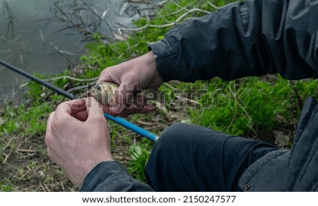 Fish, crucian carp, in the fisherman's hand.Fish caught in the river. Royalty-Free Stock Photo #2150247577