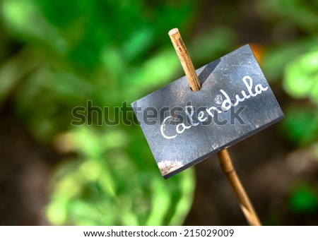 Calendula nametag-board in the green garden with blurry background
