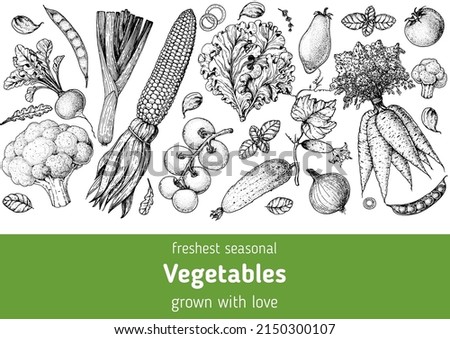 Vegetables hand drawn illustration. Top view frame. Vintage hand drawn sketch. Organic food poster. Good nutrition, healthy food. Vector illustration. Corn, tomato, carrot, broccoli, radish, lettuce Royalty-Free Stock Photo #2150300107