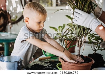 Spring Houseplant Care, repotting houseplants. Happy little kid boy planting Houseplants In Pots, drainage layer for Houseplants in backyard, garden. Royalty-Free Stock Photo #2150306759