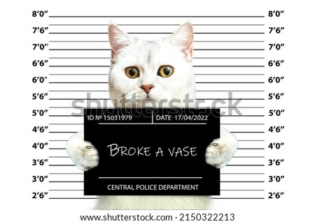 British cat holding a police department banner. Mugshot. Photo of the criminal's arrest. Funny picture with animals. Royalty-Free Stock Photo #2150322213